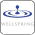 Wellspring Media