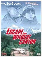 Escape From Wildcat Canyon Cover