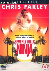 Beverly Hills Ninja Cover Beverly Hills Ninja Cover
