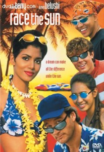 Race The Sun Cover