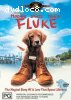 Fluke