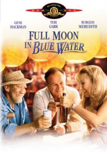 Full Moon In Blue Water Cover