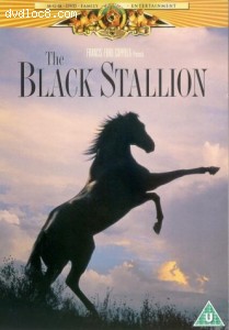 Black Stallion, The Cover Black Stallion, The Cover