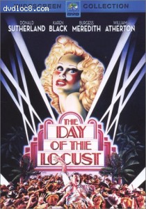 Day Of The Locust, The Cover