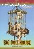 Big Doll House