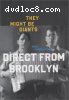 They Might Be Giants: Direct From Brooklyn