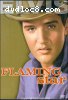 Flaming Star