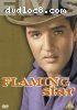Flaming Star