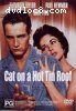 Cat On A Hot Tin Roof