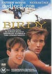 Birdy Cover Birdy Cover