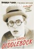 Sin Of Harold Diddlebok, The