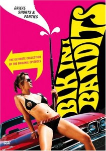 Bikini Bandits: Briefs, Shorts &amp; Panties Cover