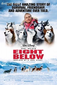Eight Below Cover
