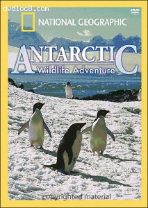 National Geographic: Antarctic Wildlife Adventure Cover