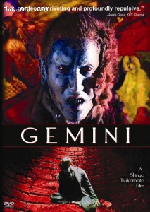 Gemini Cover