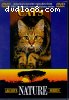 Nature: Cats