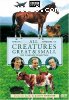 All Creatures Great &amp; Small: The Complete Series 1 Collection