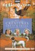 All Creatures Great &amp; Small: The Complete Series 2 Collection