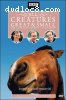 All Creatures Great &amp; Small: The Complete Series 5 Collection