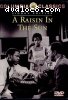 Raisin in the Sun, A