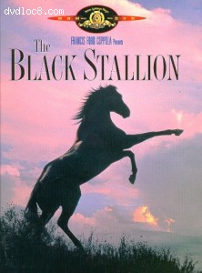 Black Stallion, The Cover