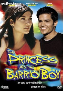Princess and the Barrio Boy, The Cover
