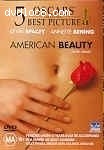 American Beauty Cover American Beauty Cover