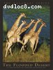 Kalahari: The Flooded Desert