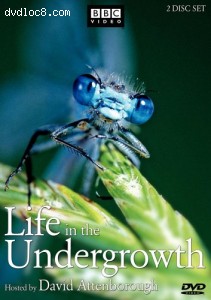 Life in the Undergrowth Cover Life in the Undergrowth Cover