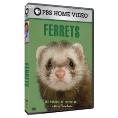 Pursuit of Excellence: Ferrets, The Cover