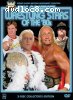 WWE Greatest Wrestling Stars of the 80s
