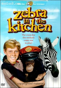 Zebra In The Kitchen Cover
