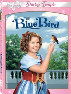 Blue Bird Cover