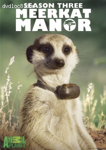 Meerkat Manor: Season Three Cover
