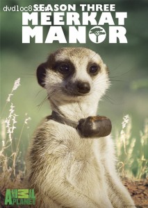 Meerkat Manor: Season Three Cover Meerkat Manor: Season Three Cover