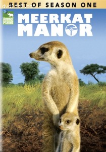 Meerkat Manor: The Best Of Season One Cover