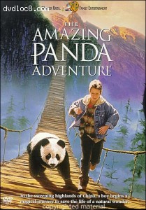 Amazing Panda Adventure, The Cover