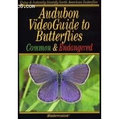 Audubon: VideoGuide to Butterflies Common and Endangered Cover