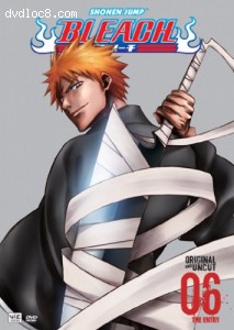 Bleach, Volume 6: The Entry (Episodes 21-24) Cover
