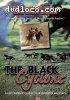Black Cyclone, The