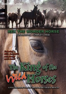 King of the Wild Horses, The Cover