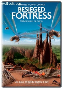 Besieged Fortress, The Cover