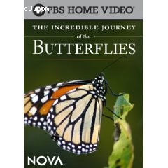 Incredible Journey of the Butterflies, The Cover