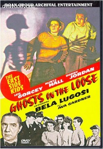 Ghosts On The Loose (Roan) Cover