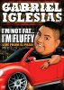 Gabriel Iglesias: I'm Not Fat...  I'm Fluffy