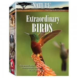 Nature: Extraordinary Birds Cover