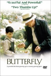 Butterfly Cover Butterfly Cover