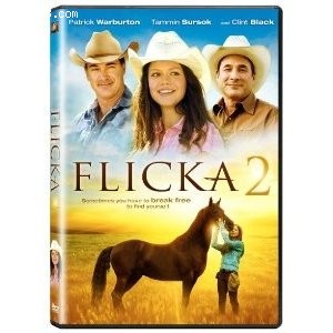 Flicka 2 Cover