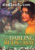 Darling Buds of May: The Happiest Days of Your Life, The