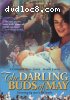 Darling Buds of May: Climb the Greasy Pole, The